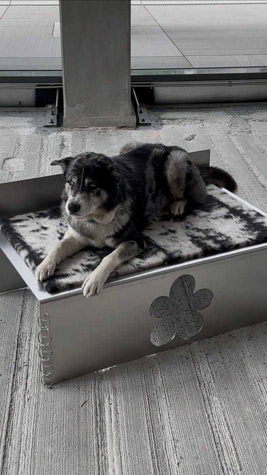 PIERCED COSMIC FLOWER Dog Bed