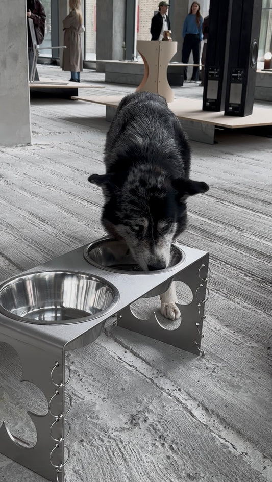 PIERCED COSMIC FLOWER Dog Bowl Stand