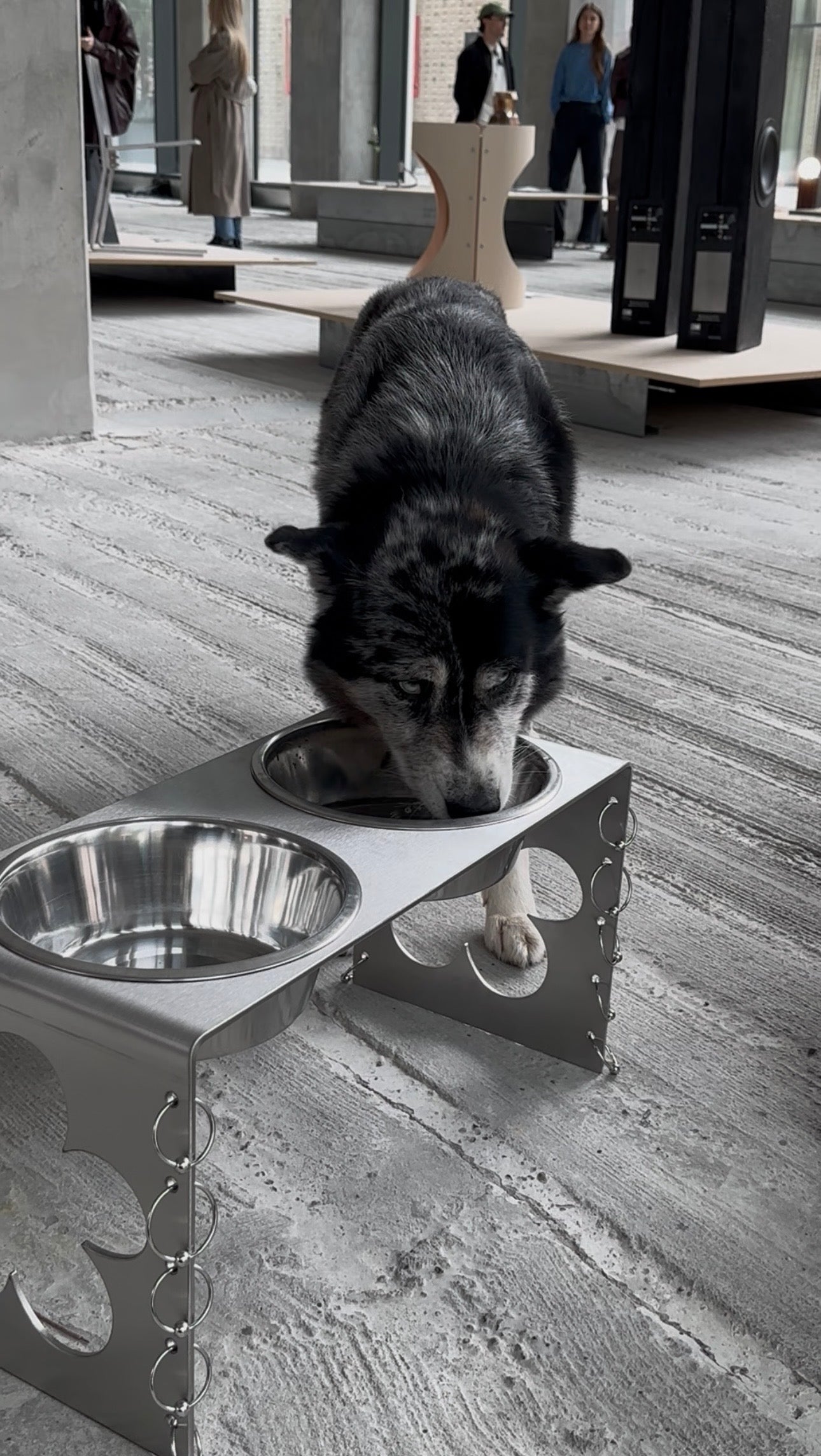 PIERCED COSMIC FLOWER Dog Bowl Stand