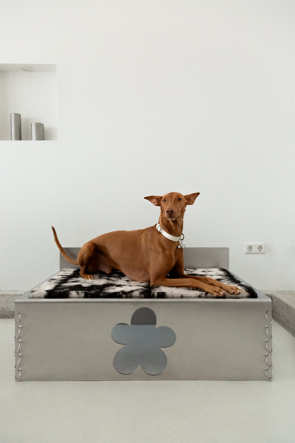 PIERCED COSMIC FLOWER Dog Bed