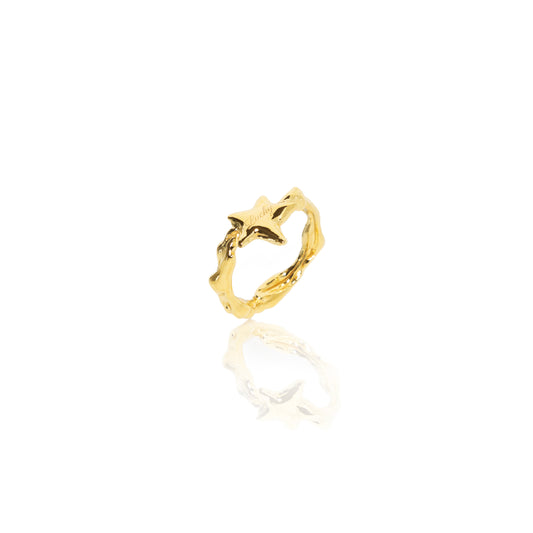 Lucky STAR Ring